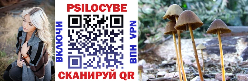 Галлюциногенные грибы мицелий  Белорецк 